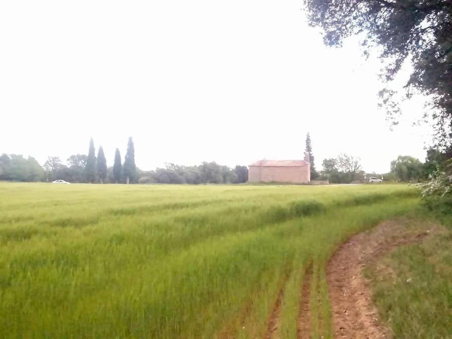 El Niuet De Cal Cacuet, La Teva Escapada Rural. Aviá Exterior foto