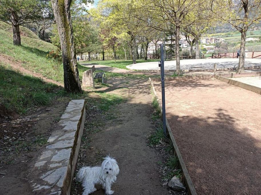El Niuet De Cal Cacuet, La Teva Escapada Rural. Aviá Exterior foto